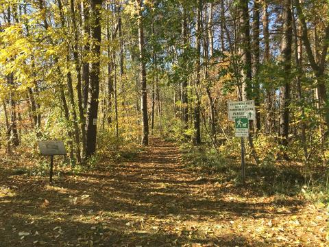 River Trail, Arthur